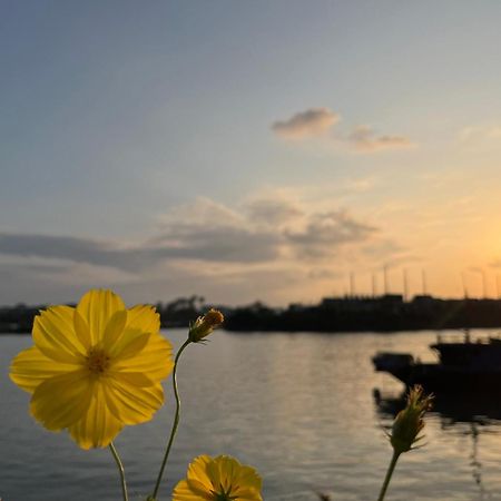 Roxana River Villa ฮอยอัน ภายนอก รูปภาพ